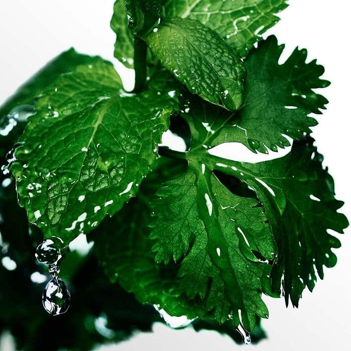 Cool Water Davidoff - Perfume Masculino - Eau De Toilette — foto 4 de 4