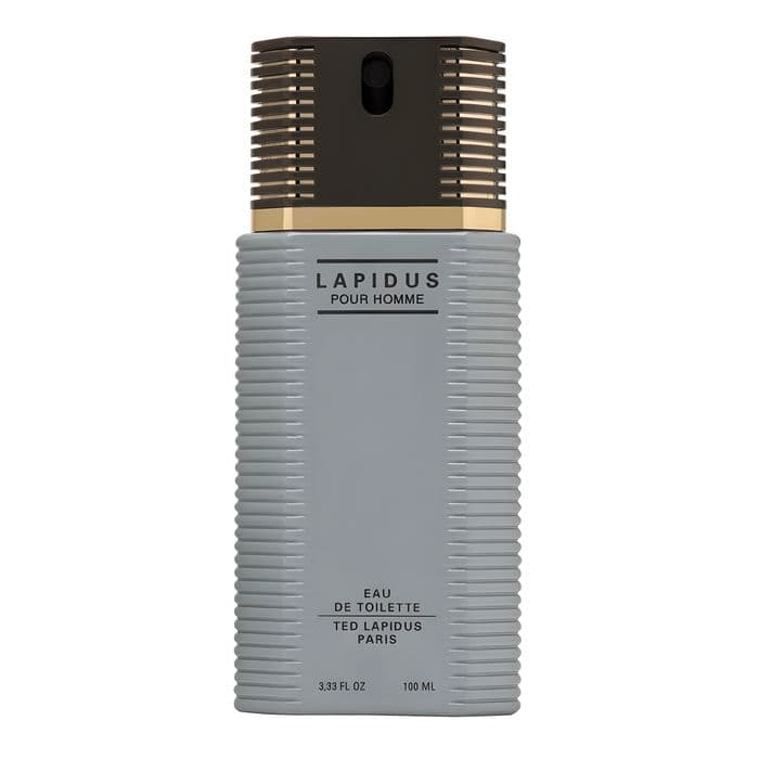 Perfume Lapidus Pour Homme Ted Lapidus Masculino Eau de Toilette 100ml